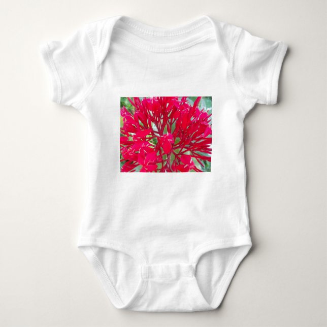Beautiful Awesome Red flowers Infant Creeper (Front)