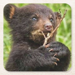 Beautiful Baby Bear Square Paper Coaster