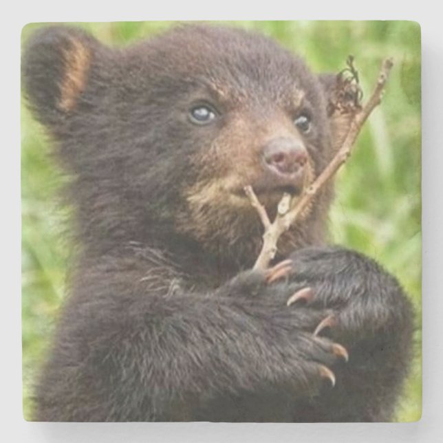 Beautiful Baby Bear Stone Coaster (Front)