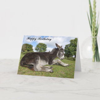 Beautiful baby Donkey Birthday Card