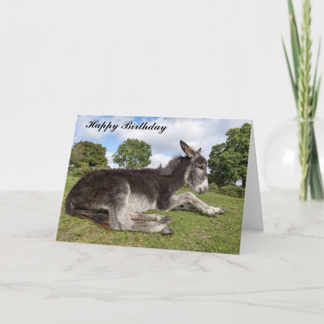 Beautiful baby Donkey Birthday Card (Front)