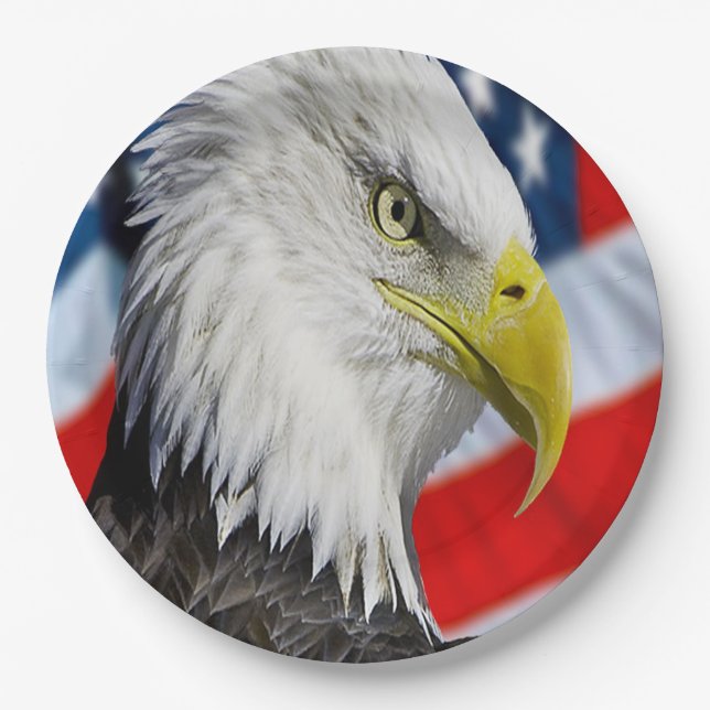 Beautiful Bald Eagle head  and a American flag 1 Paper Plate (Front)