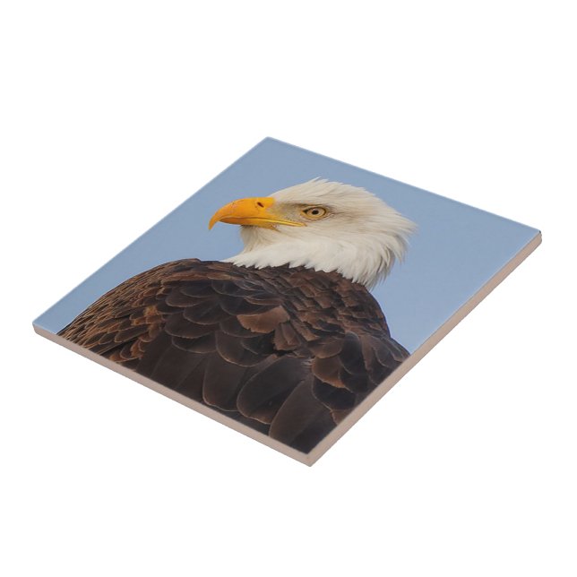 Beautiful Bald Eagle in a Tree Ceramic Tile (Side)