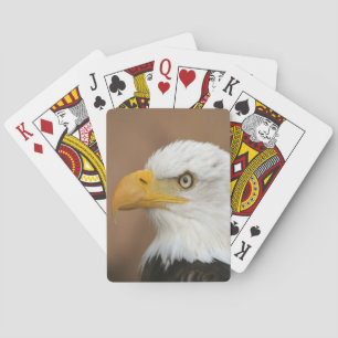 Beautiful Bald Eagle Playing Cards