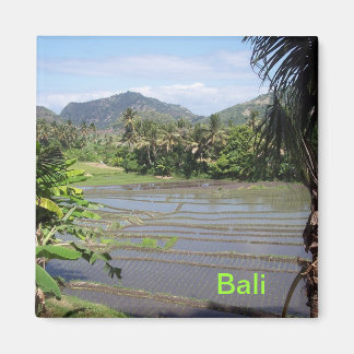 Beautiful Bali rice paddies Magnet