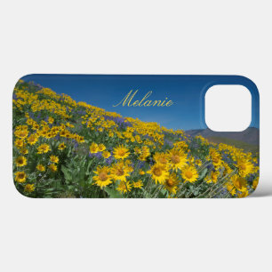 Beautiful Balsamroot Bloom iPhone 13 Case