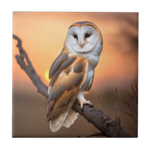 Beautiful Barn Owl Ceramic Tile