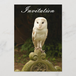 Beautiful Barn Owl Invitation