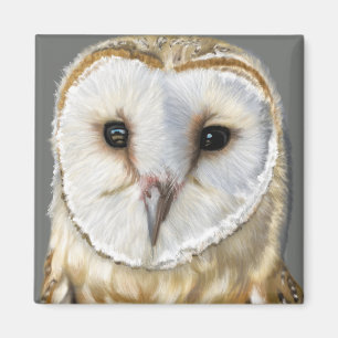Beautiful Barn Owl Magnet