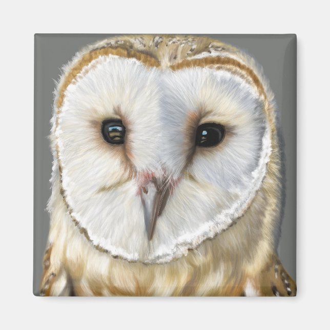 Beautiful Barn Owl Magnet (Front)
