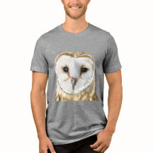 Beautiful Barn Owl