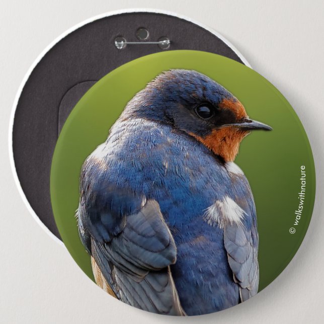 Beautiful Barn Swallow 6 Cm Round Badge (Front & Back)
