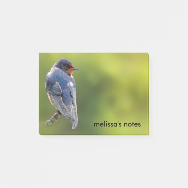 Beautiful Barn Swallow on a Branch Post-it Notes (Front)