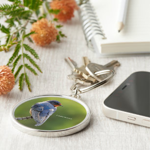 Beautiful Barn Swallow Songbird on Branch Key Ring