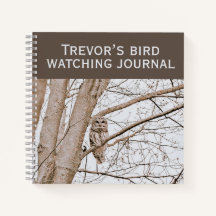 Beautiful Barred Owl Audubon Birding