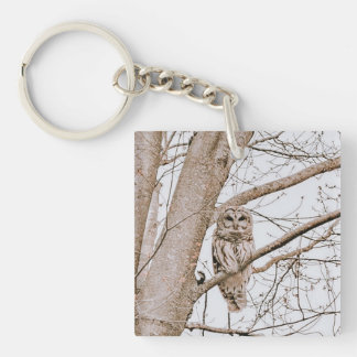 Beautiful Barred Owl Audubon Valentine’s  Key Ring