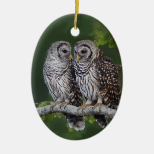 Beautiful Barred Owl Christmas Ornament for Birder