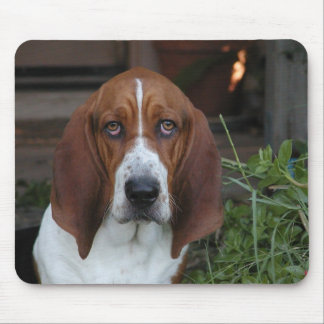 Beautiful Basset Hound Mouse Pad