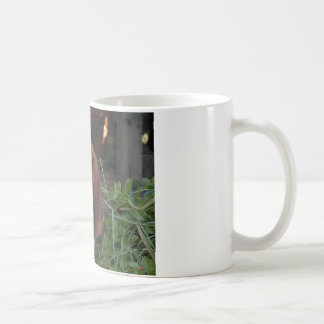 Beautiful Basset Hound Mug