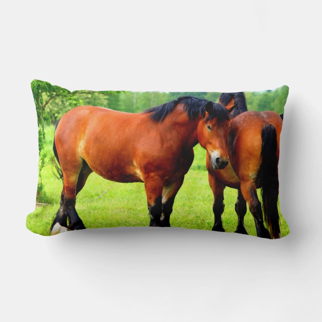 Beautiful Bay Draught Horses In Lush Green Meadow Lumbar Cushion (Front)