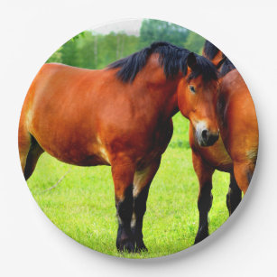 Beautiful Bay Draught Horses In Lush Green Meadow Paper Plate