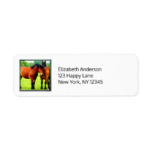 Beautiful Bay Draught Horses In Lush Green Meadow Return Address Label