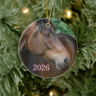 Beautiful Bay Horse Ceramic Tree Decoration