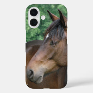 Beautiful Bay Horse Face iPhone 16 Case