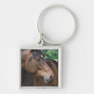 Beautiful Bay Horse Key Ring