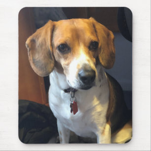Beautiful Beagle Mousepad