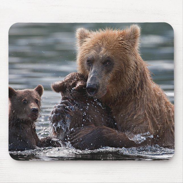 Beautiful Bear and Her Cubs Mouse Pad (Front)