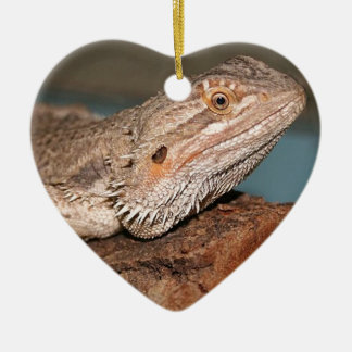 Beautiful Bearded Dragon Ceramic Tree Decoration