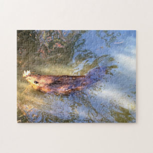 Beautiful Beaver Jigsaw Puzzle