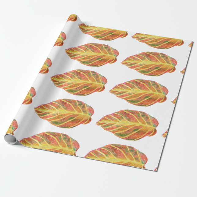 Beautiful beech in fall wrapping paper (Unrolled)