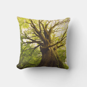 Beautiful Beech Tree Cushion