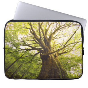 Beautiful Beech Tree Laptop Sleeve