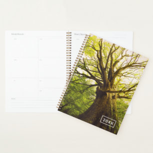 Beautiful Beech Tree Planner
