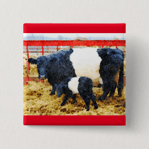Beautiful Belted Galloway cow and calf watercolour 15 Cm Square Badge
