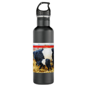Beautiful Belted Galloway cow and calf watercolour 710 Ml Water Bottle