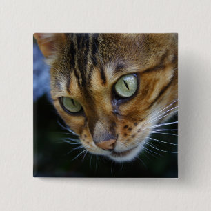 Beautiful Bengal Cat 15 Cm Square Badge
