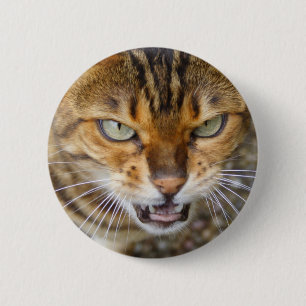 Beautiful Bengal Cat 6 Cm Round Badge