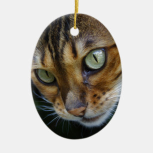 Beautiful Bengal Cat Ceramic Ornament