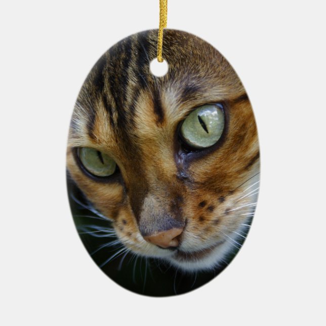 Beautiful Bengal Cat Ceramic Ornament (Front)