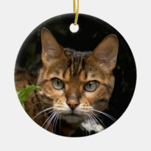 Beautiful Bengal Cat Ceramic Tree Decoration
