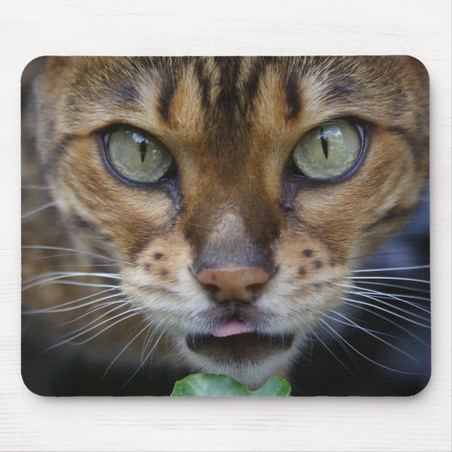 Beautiful Bengal Cat Mouse Pad (Front)
