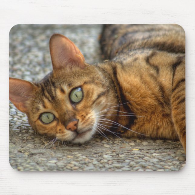 Beautiful Bengal Cat Mouse Pad (Front)