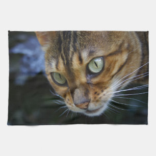 Beautiful Bengal Cat Tea Towel
