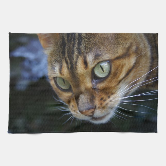 Beautiful Bengal Cat Tea Towel (Horizontal)