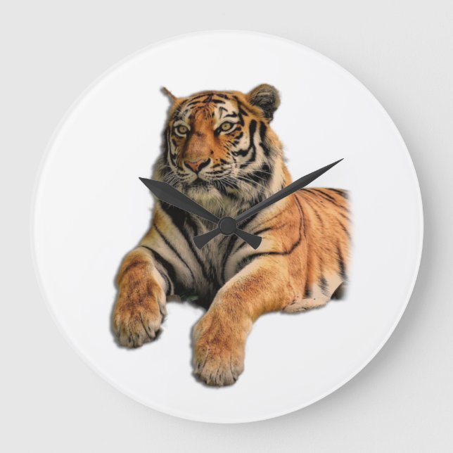 Beautiful Bengal Tiger Face & Paws Photo Large Clock (Front)