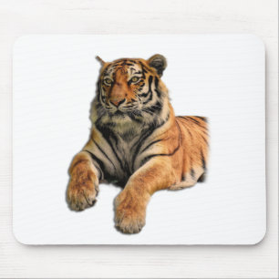 Beautiful Bengal Tiger Face & Paws Photo Mouse Pad